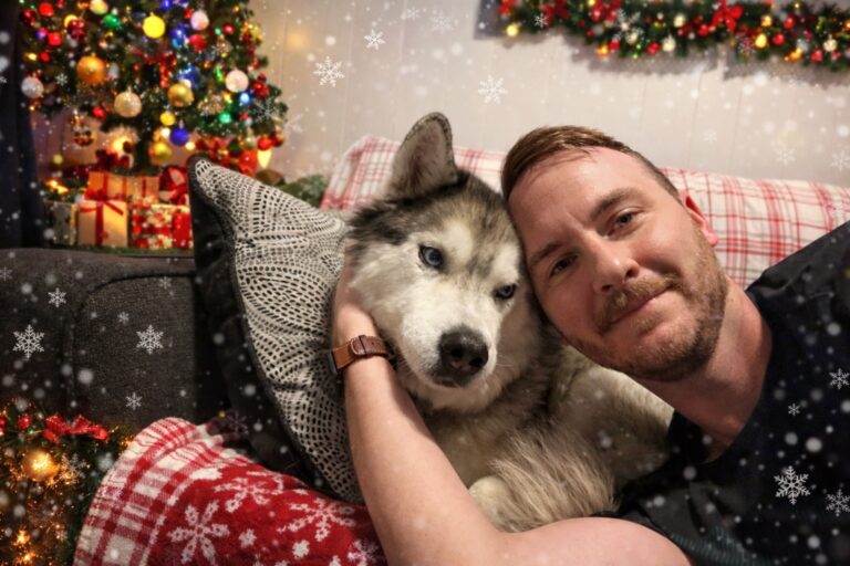 Husky Christmas