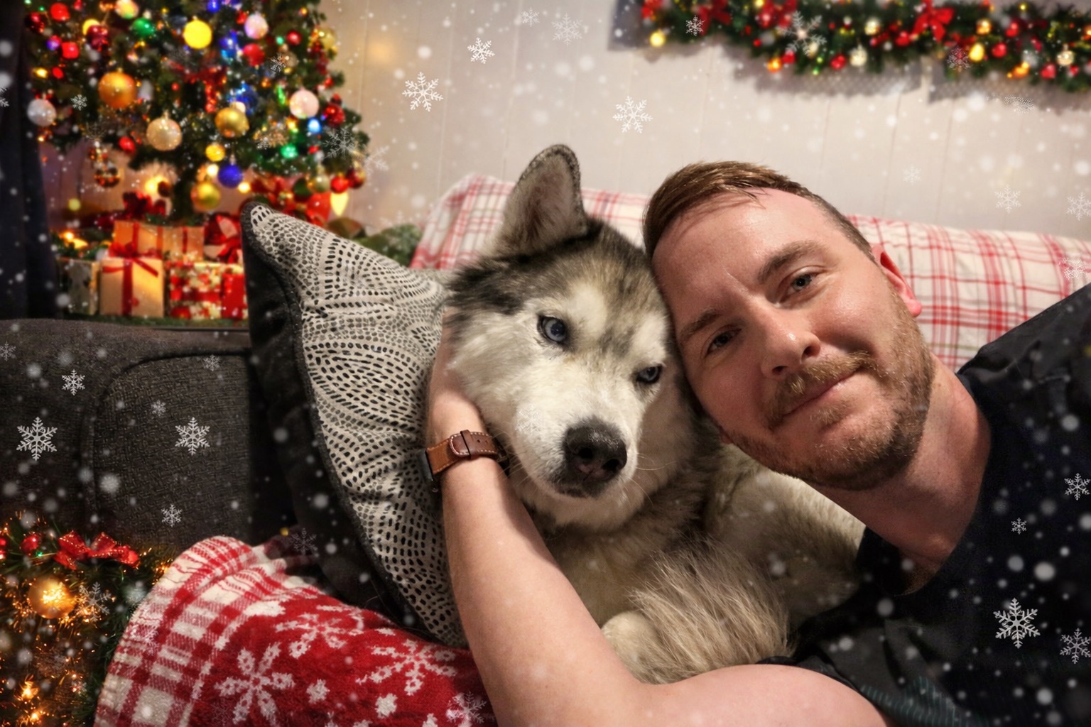 Husky Christmas